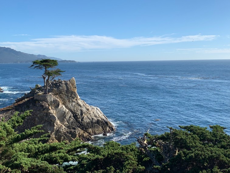 4B4F731F-C8FD-45FF-9B97-7FB33572E8C1